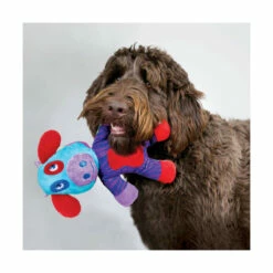 Jouet KONG Switcheroos Chien - Taille L -Promos VetoStore Boutique e91674d3a6c9d85e9122f32ed2c7b4a01edd1796d8c2a338cfc8630ff331e30c