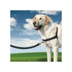 PetSafe Harnais Easy Walk 14 PetSafe Harnais Easy Walk -Promos VetoStore Boutique eb4fdb80c2f8d99ea26df9f6cdeca2a83a50e5994c3be22754a3f4f6b468f993