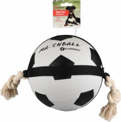 Flamingo Jouet Chien Matchball Balle De Foot 22cm 7 Flamingo Jouet Chien Matchball Balle De Foot 22cm -Promos VetoStore Boutique ec9ca983dbbfc898b3546e79c4e85e8d0217d381f6afc4d75349aca743d6611d