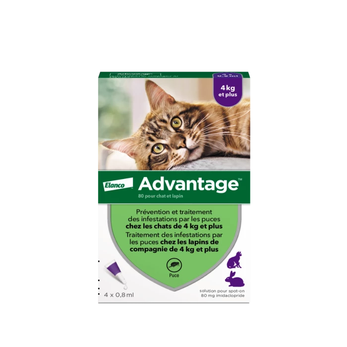 Advantage 80 Chat Et Lapin De Plus De 4 Kg