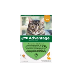 Advantage 40 Chat Et Lapin De 1 à 4 Kg