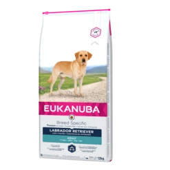 Eukanuba Labrador Retriever Pour Chien 12kg