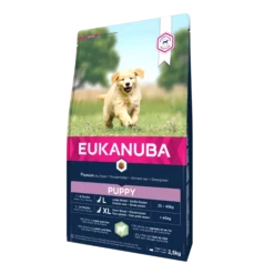 Eukanuba Puppy Large Breed Pour Chien Agneau & Riz 2,5kg
