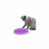 Gamelle Anti Glouton Northmate Catch Pour Chat