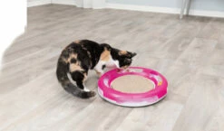 Trixie Jeu Pour Chat Ball Race & Scratch Ø 37cm -Promos VetoStore Boutique f5dc059dfdcdefb68547b6ac17a48b53fdbe870a03deb4b9c537ebd891589388