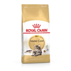 Royal Canin Maine Coon Adult Pour Chat 10kg