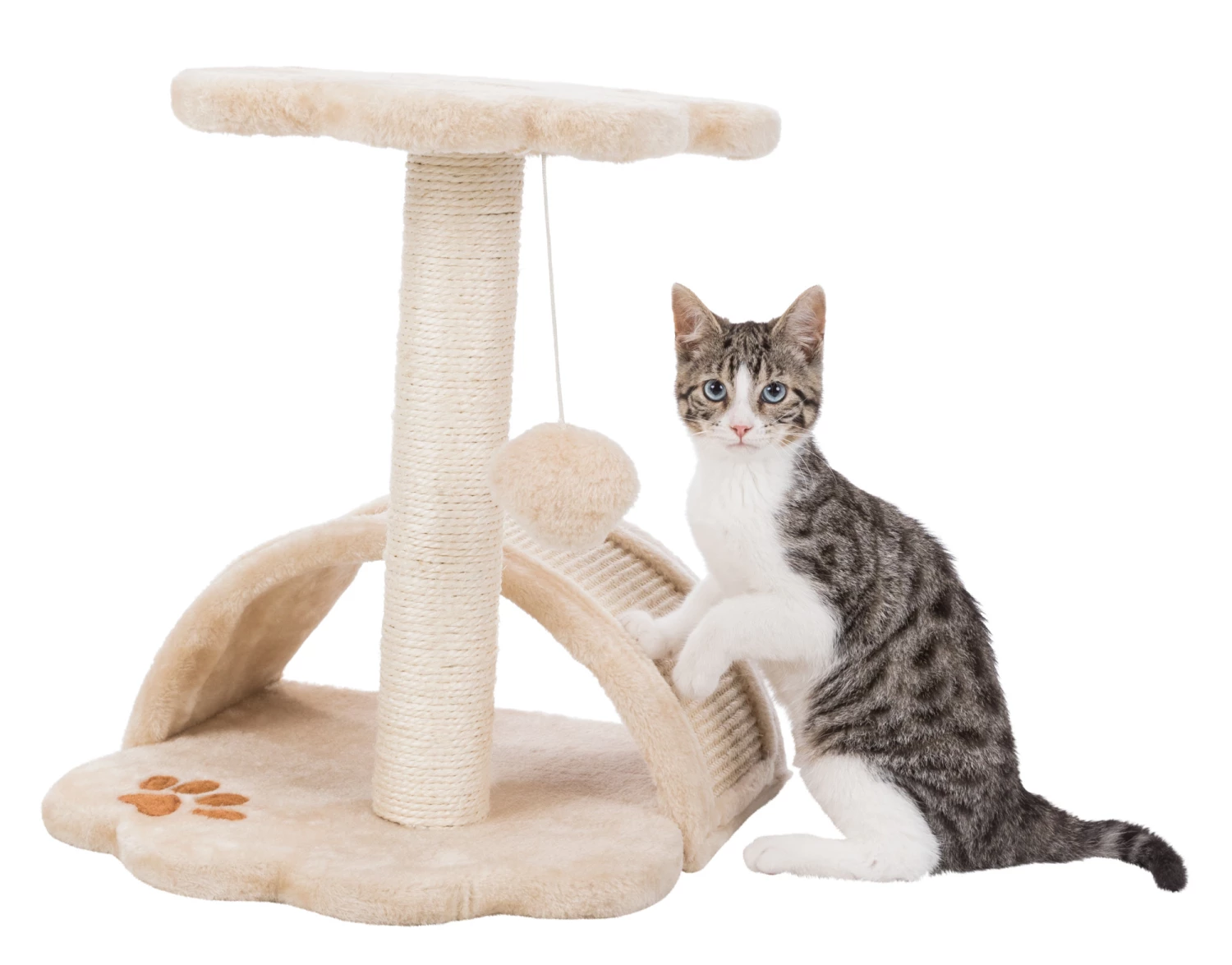 Trixie Junior Arbre À Chat Vitoria 43 Cm 5 Trixie Junior Arbre À Chat Vitoria 43 Cm – Image 3