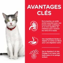 Hill's Science Plan Senior 11+ Croquettes Pour Chat Mature Au Poulet 3Kg -Promos VetoStore Boutique hills science plan chat senior 11 poulet3