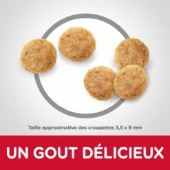 Hill's Science Plan Senior 11+ Croquettes Pour Chat Mature Au Poulet 3Kg -Promos VetoStore Boutique hills science plan chat senior 11 poulet4