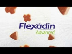 Flexadin Advanced 60 Bouchées 5 Flexadin Advanced 60 Bouchées -Promos VetoStore Boutique hqdefault 10 1