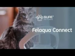 Brand Distributeur D'eau Connect Felaqua -Promos VetoStore Boutique hqdefault 10 4