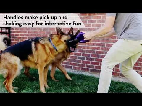 Jouet Kong Flexball 6 Jouet Kong Flexball – Image 4