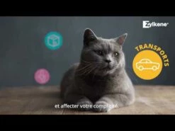 Zylkène 75mg Chat Et Petit Chien (<10KG) -Promos VetoStore Boutique hqdefault 9 4