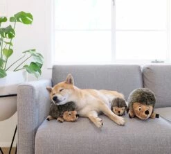 Zolux Peluche Hérisson -Promos VetoStore Boutique peluche herisson outwarddhound4