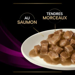 Purina Pro Plan Veterinary Diet UR Chat 10 Sachets De 85g Saumon -Promos VetoStore Boutique purina veterinary diet ur chat 10x85g saumon 1 FR