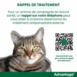 Advantage 80 Chat Et Lapin De Plus De 4 Kg -Promos VetoStore Boutique rappel traitement advantage FR 1