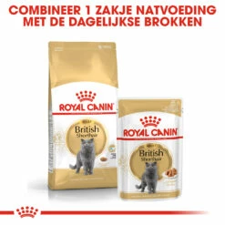 Royal Canin British Shorthair Pour Chat 10kg -Promos VetoStore Boutique rc fbn britishsh cv eretailkit 4 nl nl