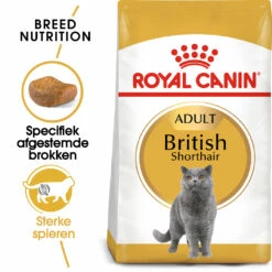 Royal Canin British Shorthair Pour Chat 10kg -Promos VetoStore Boutique rc fbn britishsh mv eretailkit nl nl
