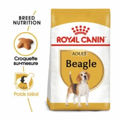 Royal Canin Beagle Adult Pour Chien 12kg -Promos VetoStore Boutique royal canin beagle adult beagle adulte 1