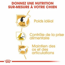 Royal Canin Beagle Adult Pour Chien 12kg -Promos VetoStore Boutique royal canin beagle adult beagle adulte 2