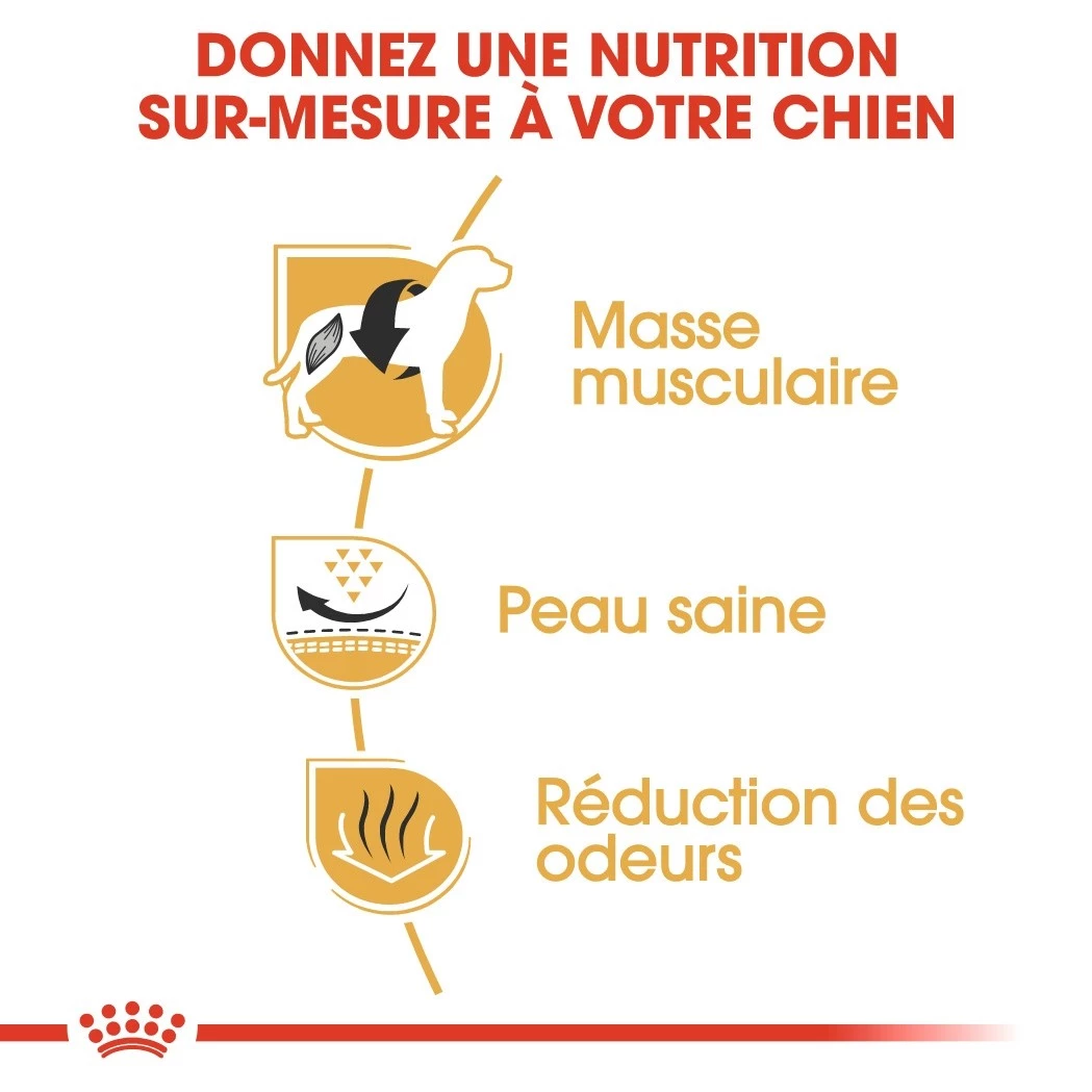 Royal Canin French Bulldog Adult Pour Chien 9kg 6 Royal Canin French Bulldog Adult Pour Chien 9kg – Image 4