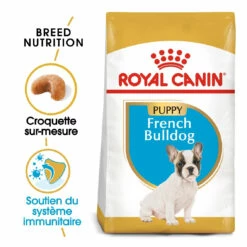 Royal Canin French Bulldog Chiot Pour Chien 10kg -Promos VetoStore Boutique royal canin bouledogue francais puppy bouledogue francais junior 1