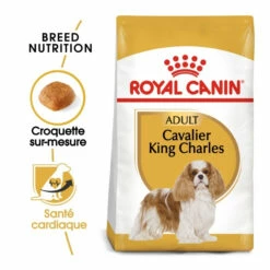 Royal Canin Cavalier King Charles Adult Pour Chien 7,5kg -Promos VetoStore Boutique royal canin cavalier king charles adult cavalier king charles 1