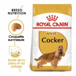 Royal Canin Cocker Adult Pour Chien 12kg -Promos VetoStore Boutique royal canin cocker adult cocker 1 1