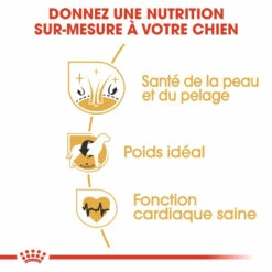 Royal Canin Cocker Adult Pour Chien 12kg -Promos VetoStore Boutique royal canin cocker adult cocker 2 1