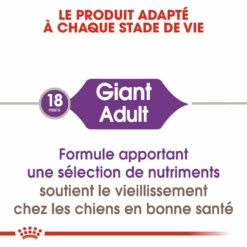 Royal Canin Giant Adult Pour Chien 15kg 8 Royal Canin Giant Adult Pour Chien 15kg -Promos VetoStore Boutique royal canin giant adult giant adult 1