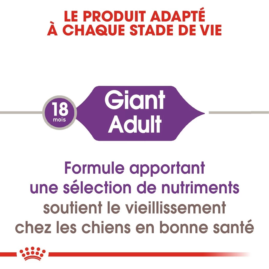 Royal Canin Giant Adult Pour Chien 15kg 5 Royal Canin Giant Adult Pour Chien 15kg – Image 3