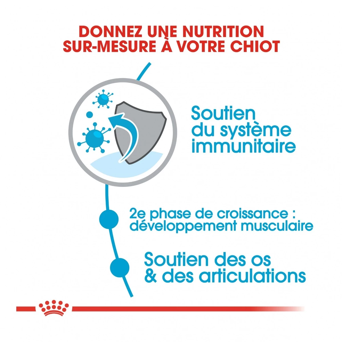 Royal Canin Giant Junior Pour Chien 15kg 6 Royal Canin Giant Junior Pour Chien 15kg – Image 4