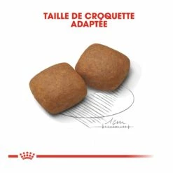 Royal Canin Giant Junior Pour Chien 15kg 11 Royal Canin Giant Junior Pour Chien 15kg -Promos VetoStore Boutique royal canin giant junior giant junior 3