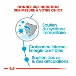 Royal Canin Giant Puppy Pour Chien - 15kg -Promos VetoStore Boutique royal canin giant puppy giant puppy 2