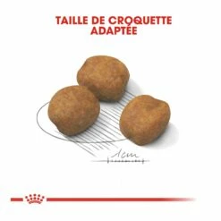 Royal Canin Giant Puppy Pour Chien - 15kg -Promos VetoStore Boutique royal canin giant puppy giant puppy 3