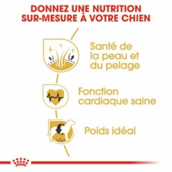 Royal Canin Golden Retriever Adult Pour Chien 12kg 10 Royal Canin Golden Retriever Adult Pour Chien 12kg -Promos VetoStore Boutique royal canin golden retriever adult croquettes pour chien golden retriever 2