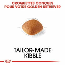Royal Canin Golden Retriever Adult Pour Chien 12kg 11 Royal Canin Golden Retriever Adult Pour Chien 12kg -Promos VetoStore Boutique royal canin golden retriever adult croquettes pour chien golden retriever 3