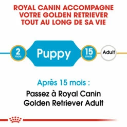 Royal Canin Golden Retriever Chiot Pour Chien 12kg -Promos VetoStore Boutique royal canin golden retriever puppy golden retriever junior 3