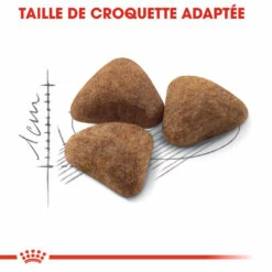 Royal Canin Indoor 27 Adult Pour Chat 10kg -Promos VetoStore Boutique royal canin indoor indoor 1