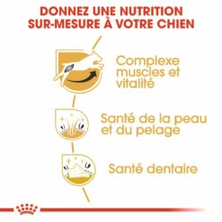 Royal Canin Jack Russell Adult Pour Chien 7,5kg -Promos VetoStore Boutique royal canin jack russell adult jack russell adulte 2