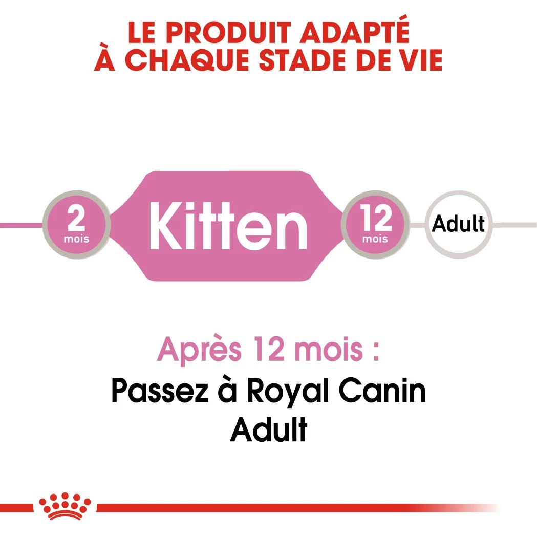 Royal Canin Kitten Sachet - Emincé En Sauce 5 Royal Canin Kitten Sachet - Emincé En Sauce – Image 3