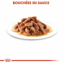 Royal Canin Kitten Sachet - Emincé En Sauce 14 Royal Canin Kitten Sachet - Emincé En Sauce -Promos VetoStore Boutique royal canin kitten sauce pour chaton royal canin 4