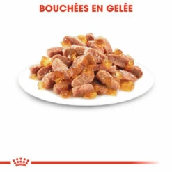 Royal Canin Kitten Sterilised -Promos VetoStore Boutique royal canin kitten sterilised kitten sterilised lot x g 1 1