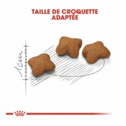 Royal Canin Kitten Sterilised -Promos VetoStore Boutique royal canin kitten sterilised kitten sterilised 4 1