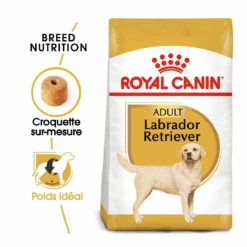 Royal Canin Labrador Retriever Adult Pour Chien 12kg -Promos VetoStore Boutique royal canin labrador retriever adult croquettes pour chien labrador retriever adulte 1