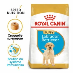 Royal Canin Labrador Retriever Chiot Pour Chien 12kg -Promos VetoStore Boutique royal canin labrador retriever puppy labrador retriever junior 1 1