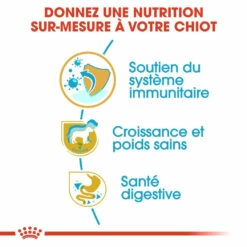 Royal Canin Labrador Retriever Chiot Pour Chien 12kg -Promos VetoStore Boutique royal canin labrador retriever puppy labrador retriever junior 2 1