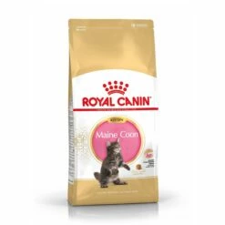 Royal Canin Maine Coon Chaton Pour Chat 10kg -Promos VetoStore Boutique royal canin maine coon kitten maine coon kitten
