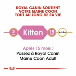 Royal Canin Maine Coon Chaton Pour Chat 10kg -Promos VetoStore Boutique royal canin maine coon kitten maine coon kitten 4