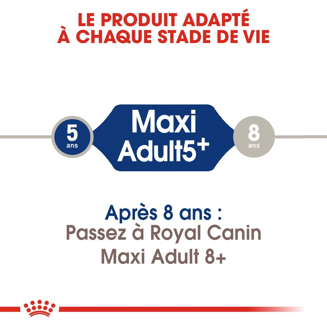 Royal Canin Maxi Adult 5+ Pour Chien 15kg 5 Royal Canin Maxi Adult 5+ Pour Chien 15kg – Image 3